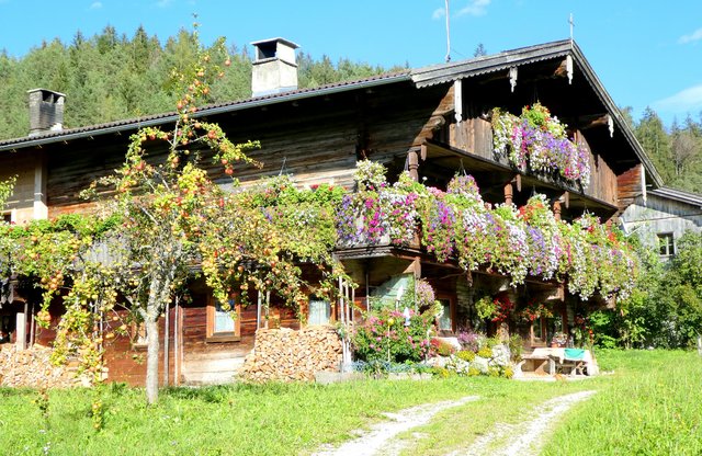 Pittoresker Idyll an der Kundler "Saulueg", das Ludmilla Haus mit Blumenschmuck und Obstbäumen. | Foto: Haun
