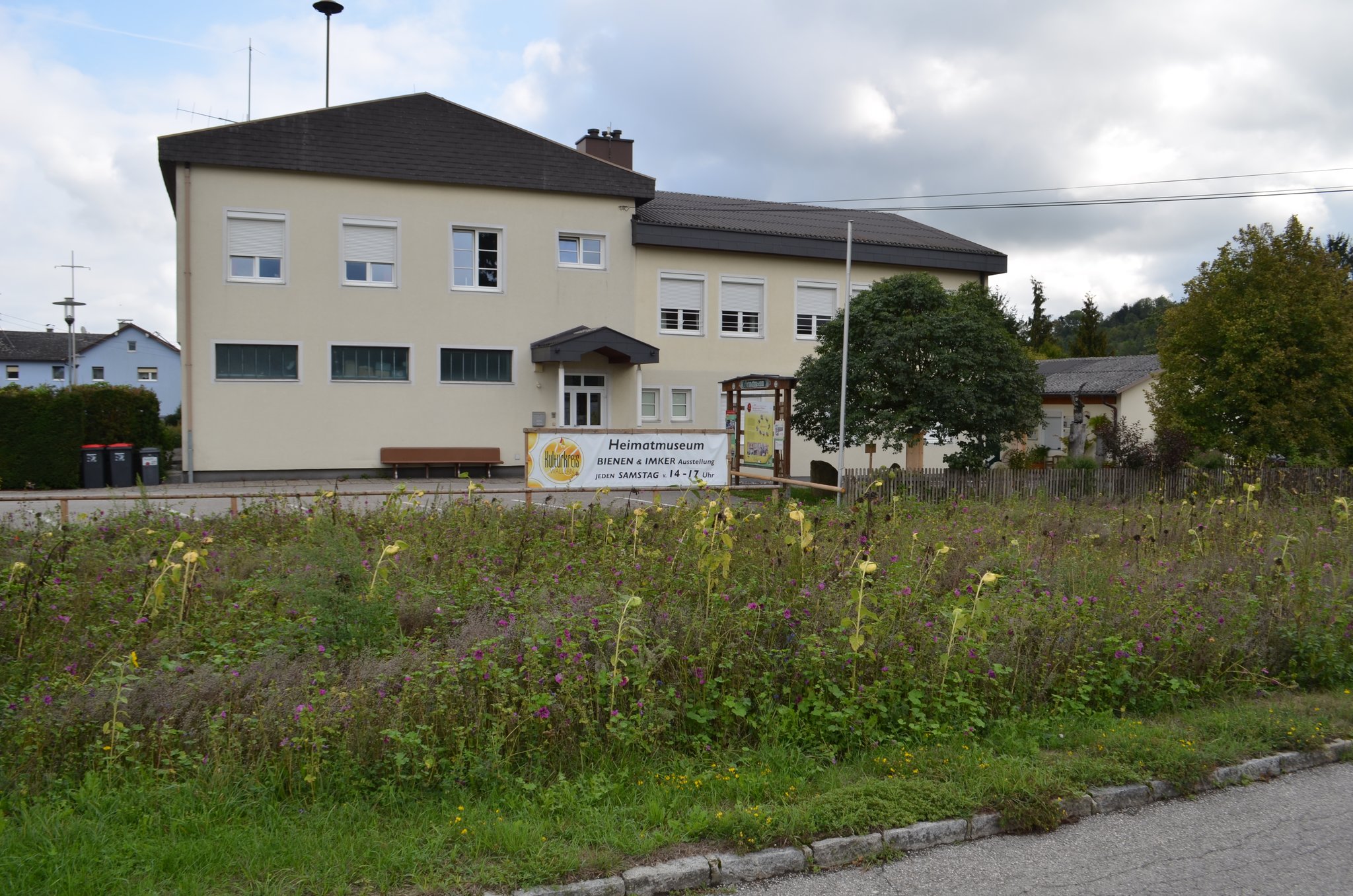 Blühstreifen für die Bienen anlegen