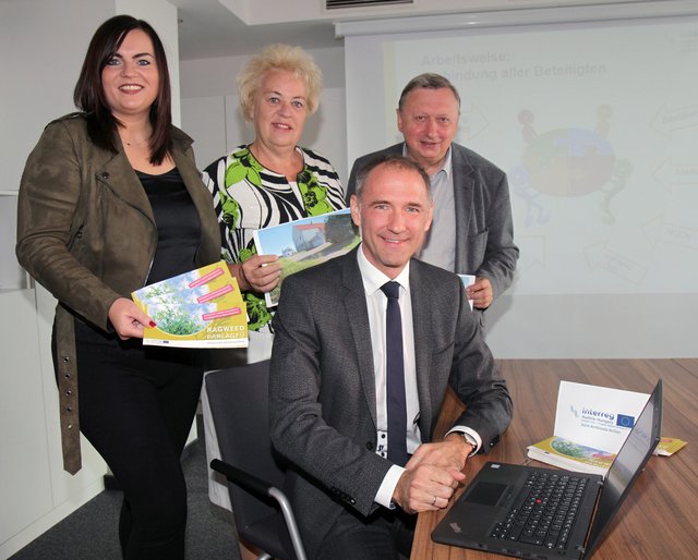 Sie stellten die neue Ragweed-Koordinierungsstelle Burgenland vor: LR Astrid Eisenkopf, LR Verena Dunst, Peter Zinggl (Landesplanung, Amt der Bgld. Landesregierung) und Hermann Frühstück (Ragweed-Koordinierungsstelle) | Foto: Landesmedienservice/Sziderics