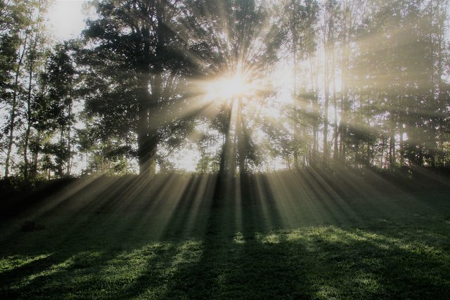 Morgenstimmung | Foto: HKroBild