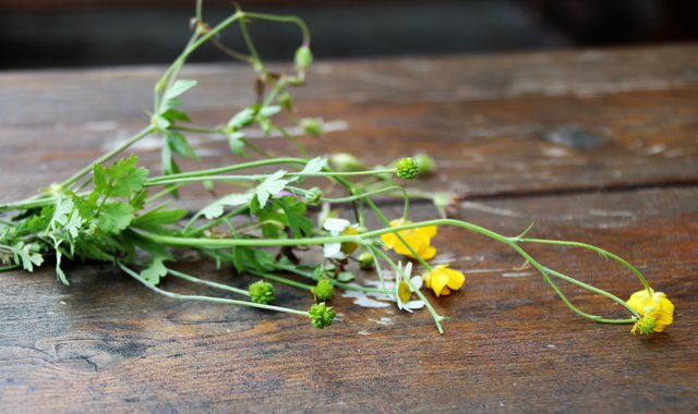Grässer und Blüten wurden gesammelt. | Foto: HKroBild