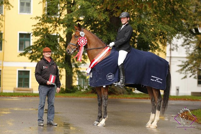 Glücklicher Züchter und Reiter - Ernst und Hannes Mayr
mit Bundeschampion Faveur EM