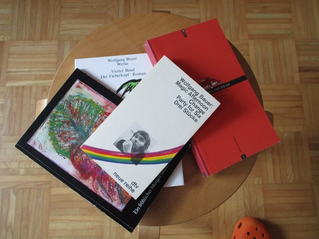 Eine Wolfi Bauer-Lektüre ist für jeden Grazer Pflicht. | Foto: Czar/Timischl