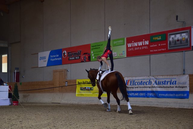Olivia Aigner bei einer Nadel quer auf ihrem Pferd Rodeo de la Mazure | Foto: Klara Fruhstorfer