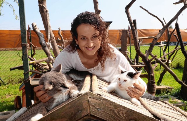 Bettina Bernadowitsch liebt Katzen über alles. Und bekam jetzt den Steirischen Tierschutzpreis