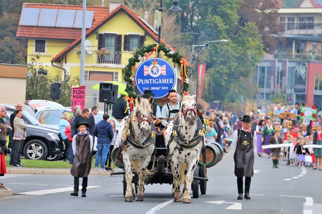 Puntigamer Bier, Winzerzug Gamlitz,