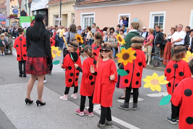 VS Gamlitz, Winzerzug