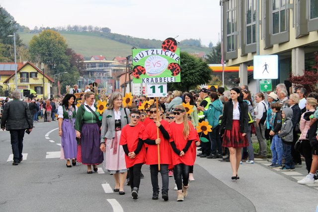 VS Gamlitz, Winzerzug, Weinlesefest