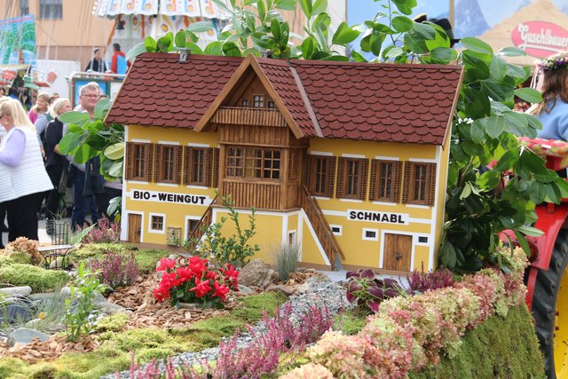 Bio- Weingut Schnabl, Winzerzug, Gamlitz, Weinlesefest