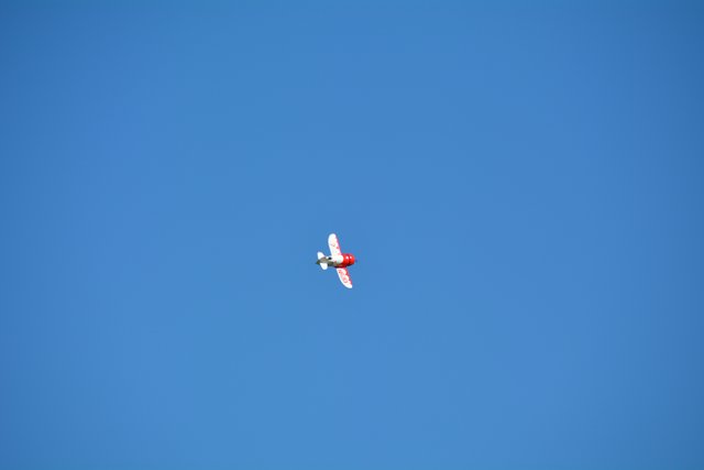 Die Mitglieder des MFC Eisenstraße zeigten beim Mostfliegen in Gseng ihr Können.