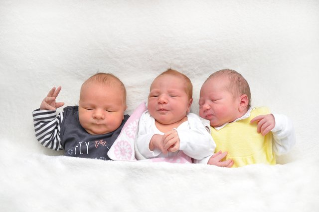 Von links: Martin Mühlbachler, Sarah Steinecker und Leo Stütz. | Foto: Baby Smile