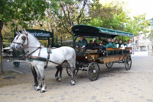 Die Kellner des Schweizerhauses sitzen schon mal im Zeiserlwagen probe. Natürlich mit einem Krügerl Budweiser Budvar.