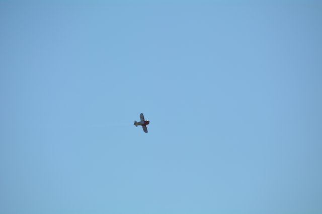 Die Mitglieder des MFC Eisenstraße zeigten beim Mostfliegen in Gseng ihr Können.