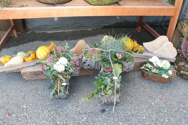 Foto: Dagmar Knoflach-Haberditz