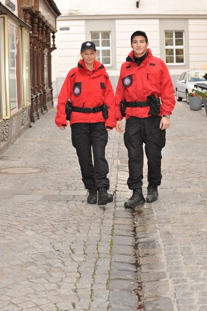 1.900 Fälle hat der Linzer Ordnungsdienst im September dokumentiert.  | Foto: Stadt Linz