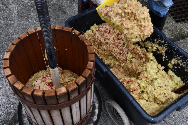 Selbst gepresster Apfelsaft: Apfelsaft frisch gepresst - Horn