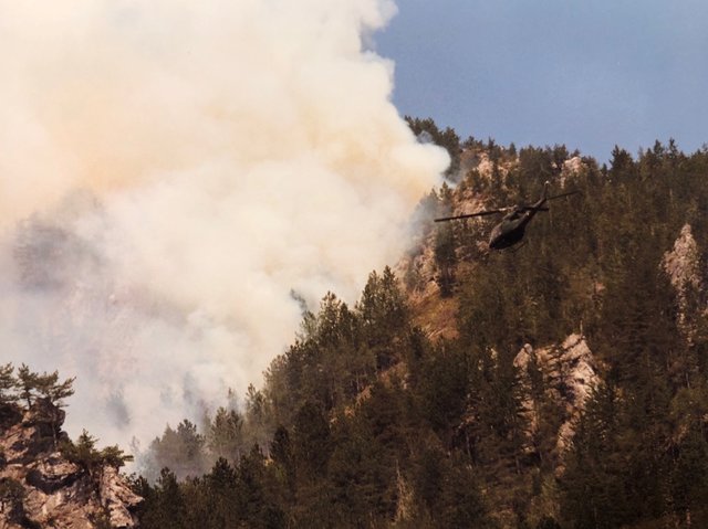 35 Hektar Wald wurden 1998 in Trögern Raub der Flammen. 1.000 Menschen standen insgesamt im Löscheinsatz