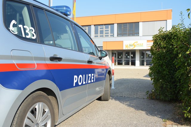 Die Polizei sagt, "nach dem derzeitigen Ermittlungsstand ist es jedoch zu keiner strafbaren Handlung gekommen".