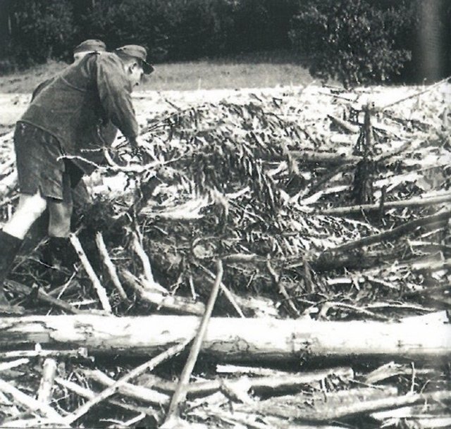 Hochwasser 1958