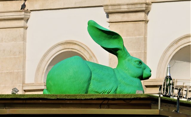 Dürer-Hase für die Albertina, Wien