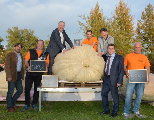 DIE GARTEN TULLN Geschäftsführer Franz Gruber, Hubert Klein, Landesrat Martin Eichtinger, Franz Mathias, Andreas Freistetter, Präsident der Landarbeiterkammer NÖ, Tullns Bürgermeister Peter Eisenschenk und Friedrich Melka.