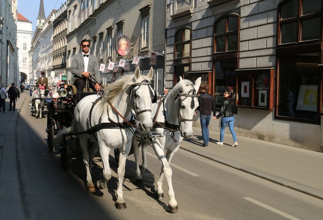 So eine Kutsche würde würde jetzt den müden Beinen gefallen