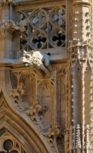 Stephansdom Wien