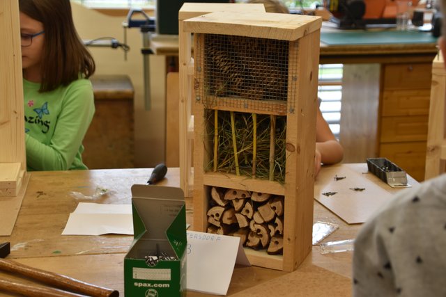 Foto: Kristina Orasche