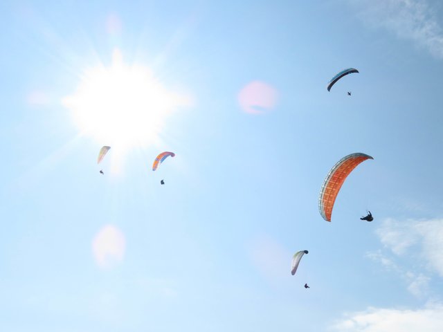 Die abgestürzten Sportler erlitten schwere Verletzungen.