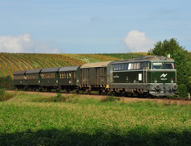 Mit dem Reblaus Express zum Abfischfest in Geras | Foto: NÖVOG/Knipserl