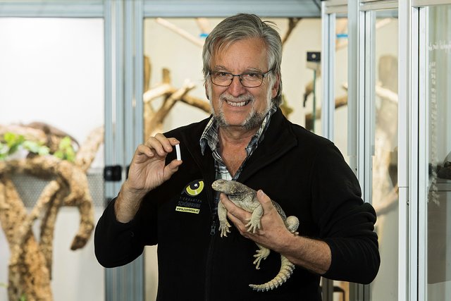 Harald Schwammer mit einer geschmuggelten Ägyptischen Dornschwanzagame