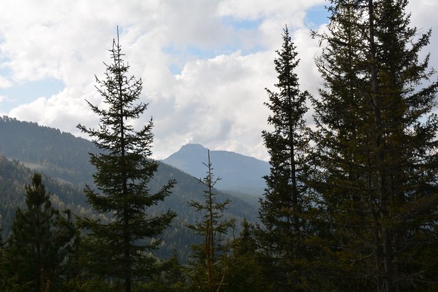 Schöner Spaziergang von der Maierl Alm nach Obereggen im Eggental.