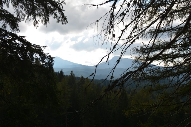Schöner Spaziergang von der Maierl Alm nach Obereggen im Eggental.
