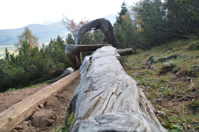 Tolle Wanderung von der Seiser Alm auf den Schlern.