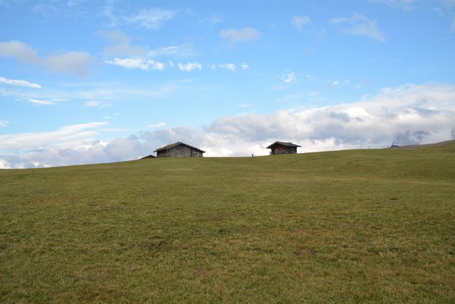 Die Seiser Alm befindet sich auf einer Seehöhe von 1.680 bis 2.350 Metern und stellt mit einer Fläche 56 Quadratkilometern eines der größten geschlossenen Hochplateaus in den Alpen dar.