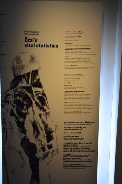 Das Südtiroler Archäologiemuseum in Bozen ist der Ausstellungsort des "Mannes vom Tisenjoch", besser bekannt als "Ötzi" und gehört zu den führenden archäologischen Museen Italiens..