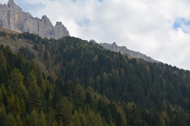 Schöner Spaziergang von der Maierl Alm nach Obereggen im Eggental.