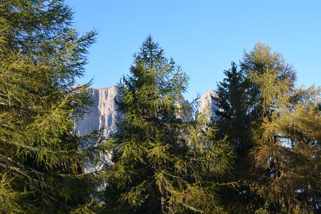 Tolle Wanderung von der Seiser Alm auf den Schlern.