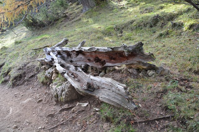 Tolle Wanderung von der Seiser Alm auf den Schlern.