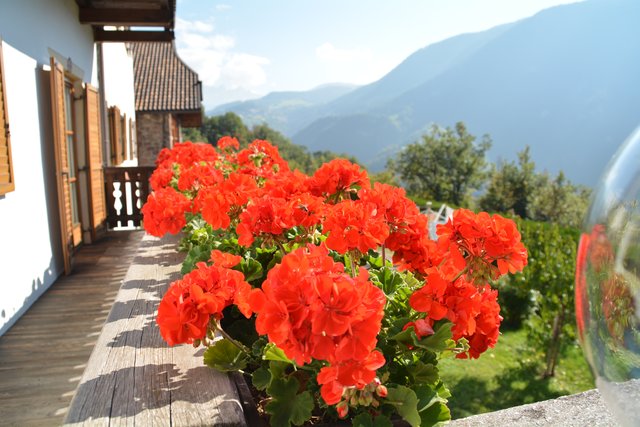 Unterwegs auf dem Rittner Hochplateau oberhalb der Südtiroler Hauptstadt Bozen.