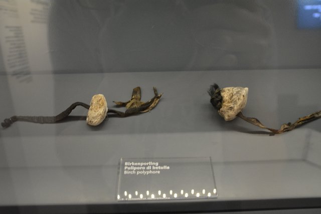 Das Südtiroler Archäologiemuseum in Bozen ist der Ausstellungsort des "Mannes vom Tisenjoch", besser bekannt als "Ötzi" und gehört zu den führenden archäologischen Museen Italiens..