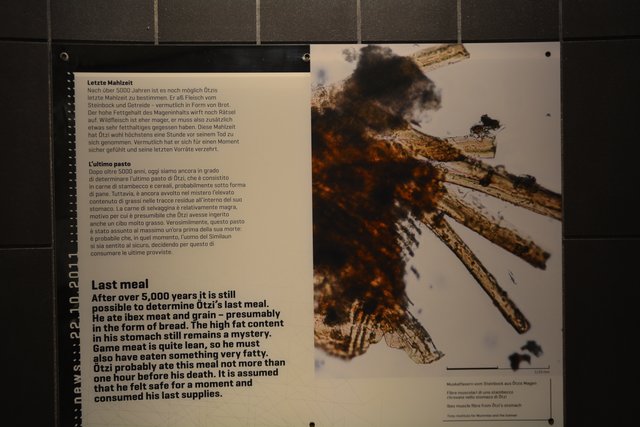 Das Südtiroler Archäologiemuseum in Bozen ist der Ausstellungsort des "Mannes vom Tisenjoch", besser bekannt als "Ötzi" und gehört zu den führenden archäologischen Museen Italiens..