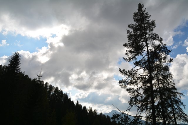 Schöner Spaziergang von der Maierl Alm nach Obereggen im Eggental.