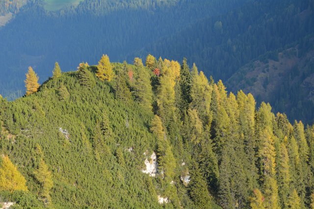 Tolle Wanderung von der Seiser Alm auf den Schlern.