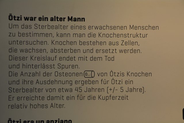 Das Südtiroler Archäologiemuseum in Bozen ist der Ausstellungsort des "Mannes vom Tisenjoch", besser bekannt als "Ötzi" und gehört zu den führenden archäologischen Museen Italiens..