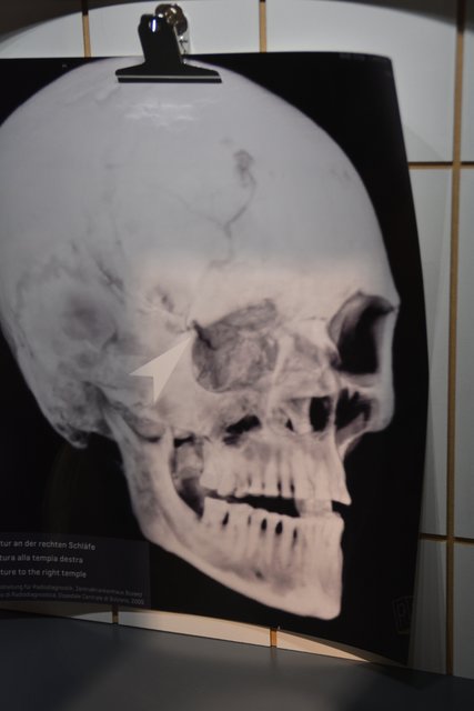 Das Südtiroler Archäologiemuseum in Bozen ist der Ausstellungsort des "Mannes vom Tisenjoch", besser bekannt als "Ötzi" und gehört zu den führenden archäologischen Museen Italiens..