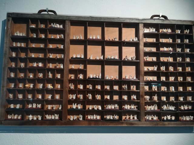 Im Linzer Zahnmuseum in der Pfarrgasse, hängt diese Vitrine voll mit Zähnen mit wirren Wurzeln.