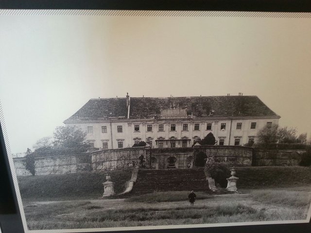 Dem Verfall preisgegeben. Das Schloss nach dem Zweiten Weltkrieg.