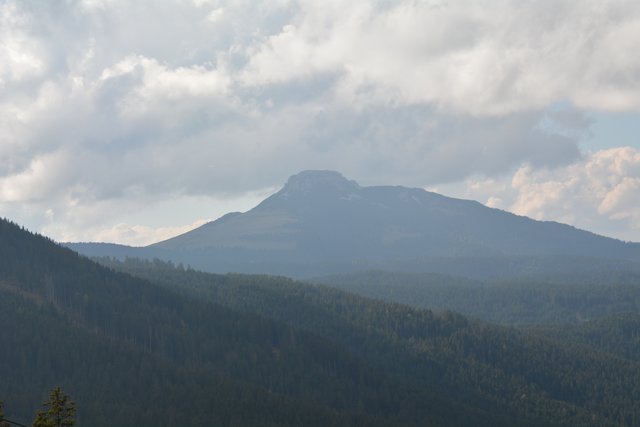 Schöner Spaziergang von der Maierl Alm nach Obereggen im Eggental.