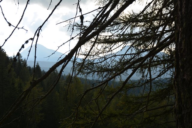 Schöner Spaziergang von der Maierl Alm nach Obereggen im Eggental.